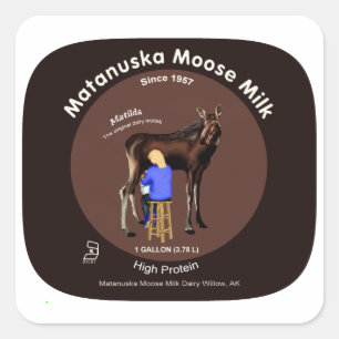 Matanuska Moose Milk Quadratischer Aufkleber