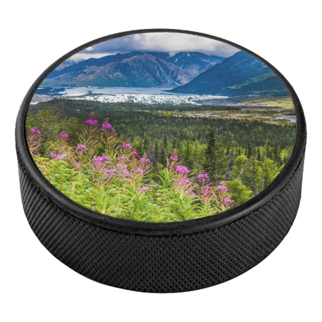 Matanuska-Tal, Südzentralalaska Eishockey Puck (3/4)