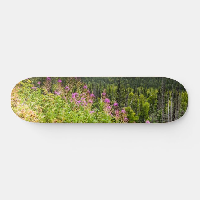 Matanuska-Tal, Südzentralalaska Skateboard (Horizontal)