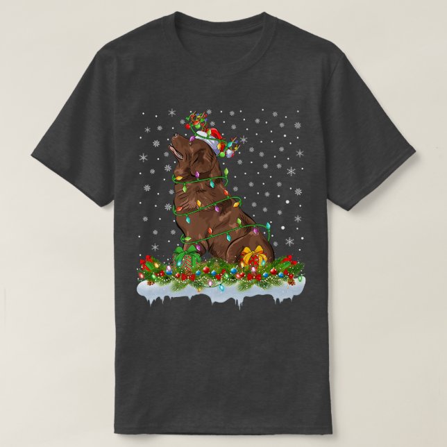 Matching Xmas Lighting Santa Newfoundland Dog Chri T-Shirt (Design vorne)