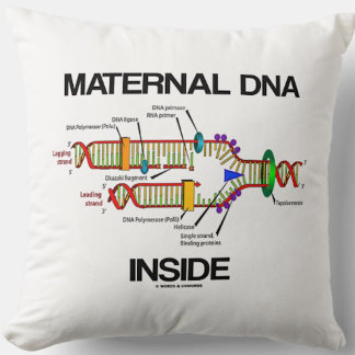 Maternal DNA Inside Genetics DNA Replikation Humor Kissen