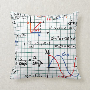 Mathe-Formel-Zahlen Kissen