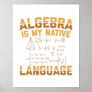 Mathematik Algebra   Mathematiker Lehrergeschenke Poster