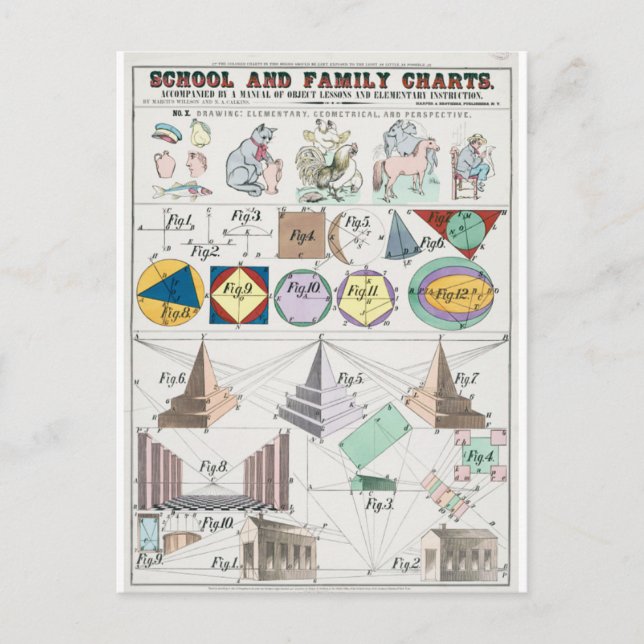 Mathematik-Postkarte Postkarte (Vorderseite)