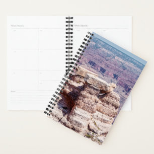 Mather Point Planer