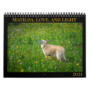 Matilda, Liebe und Light 2021 Kalender