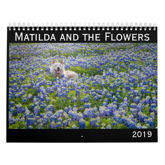 Matilda und der Kalender der Blumen-2019 (Titelbild)