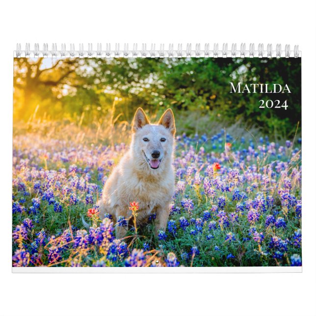 Matildas Kalender 2024 (Titelbild)