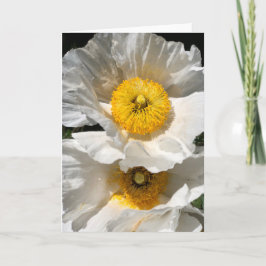 Matilija Poppy Note Card<Blank Inside> Einladung