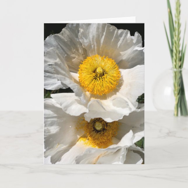 Matilija Poppy Note Card<Blank Inside> Einladung (Vorderseite)