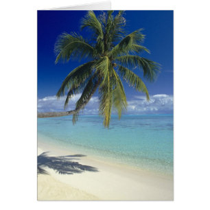 Matira Beach auf der Insel Bora Bora, Gesellschaft