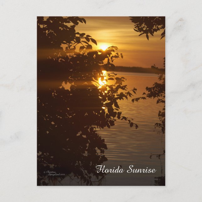 Matlacha Florida Sunrise Postcard Postkarte (Vorderseite)
