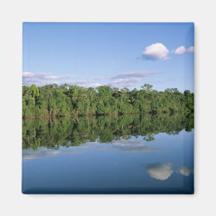Mato Grosso Bundesstaat, Amazonas, Brasilien. Bewa Magnet
