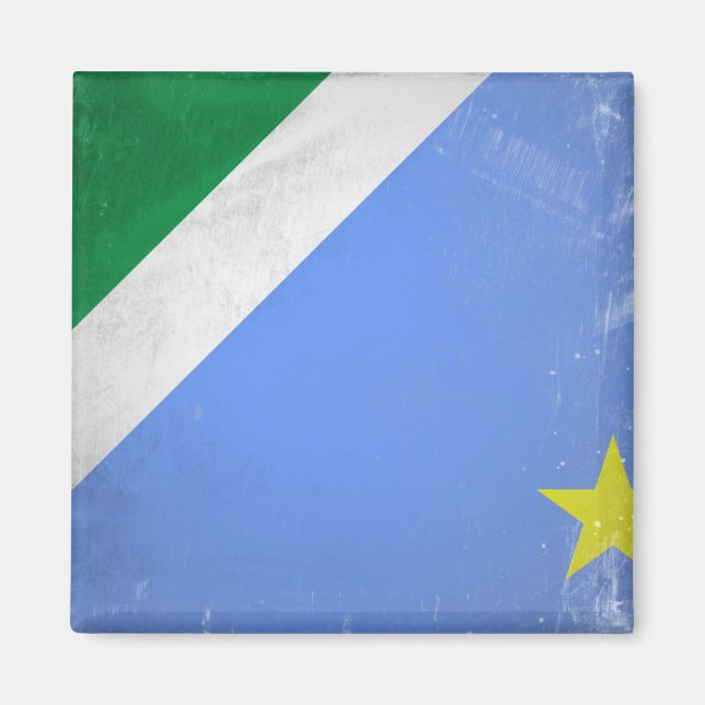 Mato Grosso do Sul Magnet (Vorne)
