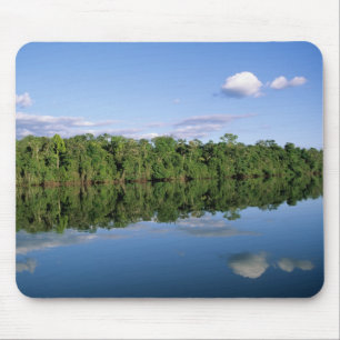 Mato Grosso Staat, Amazon, Brasilien. bewaldet Mousepad