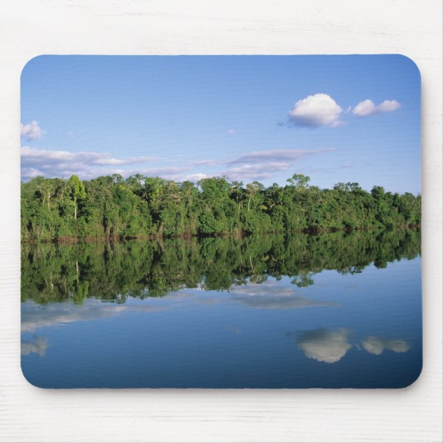 Mato Grosso Staat, Amazon, Brasilien. bewaldet Mousepad (Vorne)