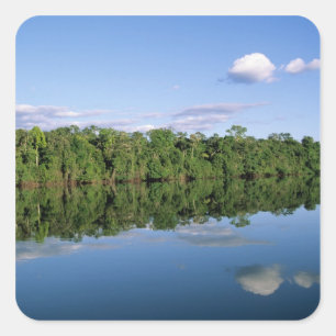 Mato Grosso Staat, Amazonas, Brasilien. Bewaldet Quadratischer Aufkleber