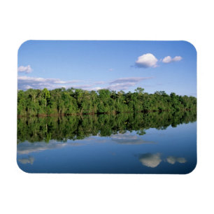 Mato Grosso Staat, Amazonien, Brasilien. Bewaldet Magnet