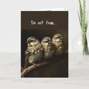 Matt 10:31 Tröstender aufbauender Bibelvers Vögel Karte