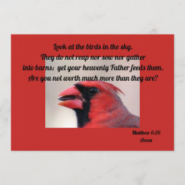 Matt 6: 26 Kardinal Grußkarte Karte