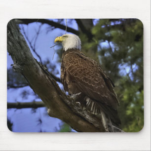 Matte Bald Eagle Gel Mouse Pad Mousepad