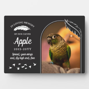 Matte Black Feathers in Love Memory Pet Bird Fotoplatte