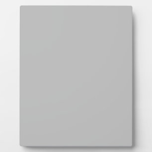 Matte Silver Fotoplatte