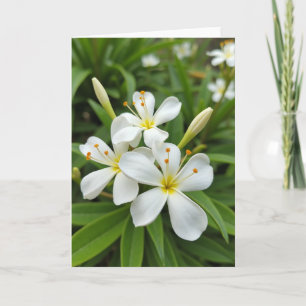 Matte Weiße Florale Fotokarte Karte