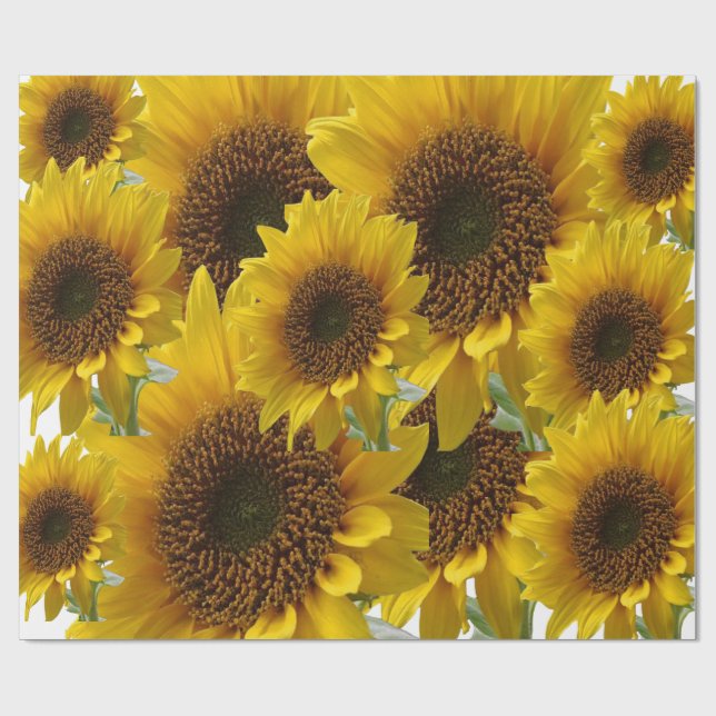 Mattes Sonnenblumenpapier Geschenkpapier (Flach)