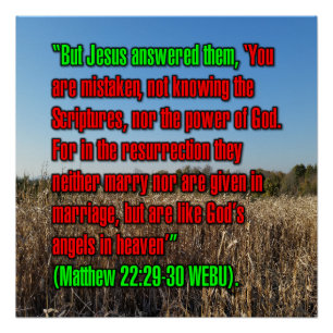 Matthäus 22:29-30 WEBU Poster
