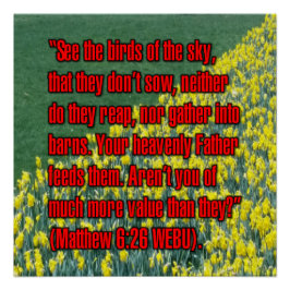 Matthäus 6:26 WEBU Poster