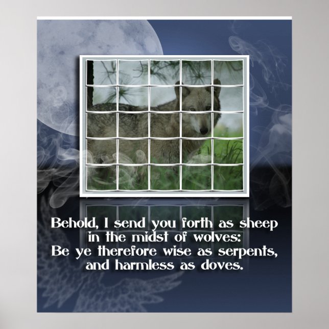 Matthew 10:16 BIBLE QUOTE SHEEP UNTER WOLVES Poster (Vorne)