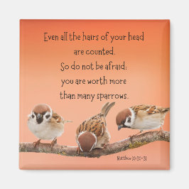 Matthew 10:30-31 2" Magnet