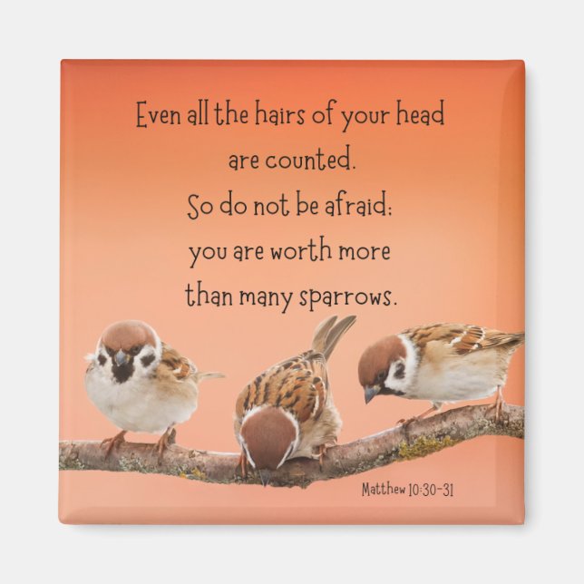 Matthew 10:30-31 2" Magnet (Vorne)