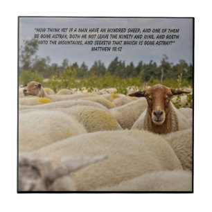 Matthew 18:12 fliese