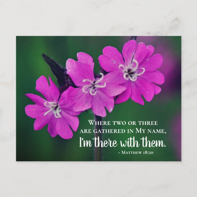 Matthew 18:20 Zwei oder Drei in meinem Namen Postkarte (Vorderseite)