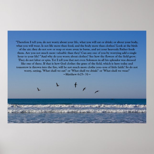 Matthew 6:25-31 Poster (Vorne)