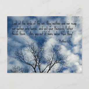 Matthew 6:26 Schauen Sie sich die Vögel der Luft a Postkarte