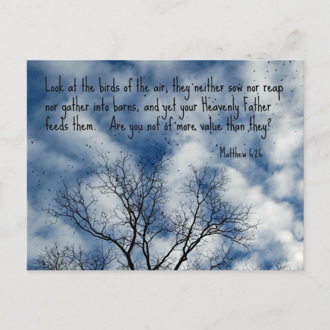 Matthew 6:26 Schauen Sie sich die Vögel der Luft a Postkarte (Vorderseite)