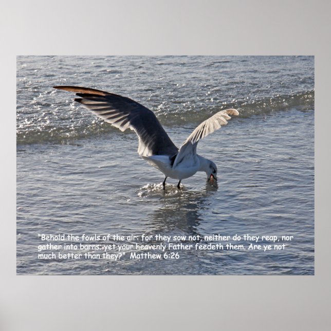 Matthew 6:26 Scripture Poster (Vorne)