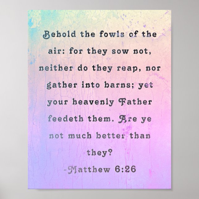 Matthew 6:26 Scripture Poster (Vorne)