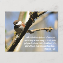 Matthew 6:26 Vogelheft Postkarte