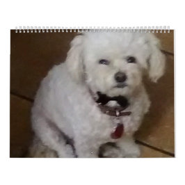 Mattie und Freunde Kalender