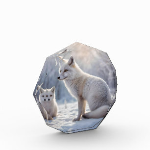 "Mattierte Anleihen: The Arctic Fox and their Cub" Fotoblock
