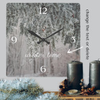 Mattierte Äste und ein schneebedeckter Wald