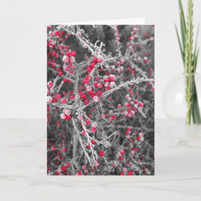 Mattierte Beeren-Karte Feiertagskarte (Vorderseite)