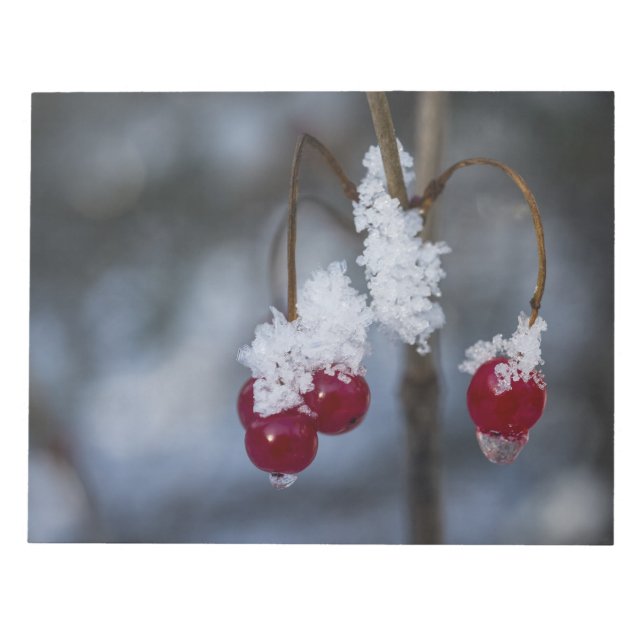 Mattierte Berries Notizblock (Vorderseite)