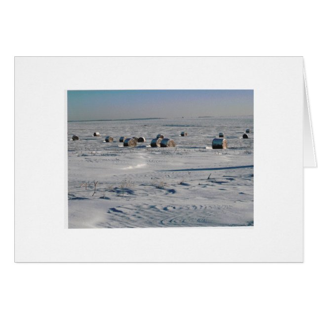 mattierte Flocken (Vorderseite (Horizontal))