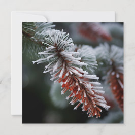 Mattierte Frase Fir Urlaubskarte Feiertagskarte