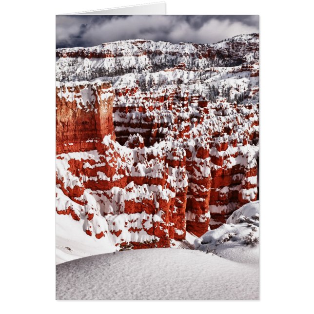 Mattierte Landschaft (Vorne)